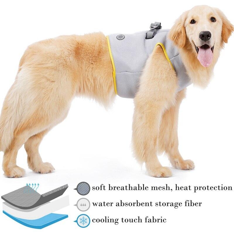 Dog Harness and Leash Set for Chihuahua Pug Small Medium Puppy Cat