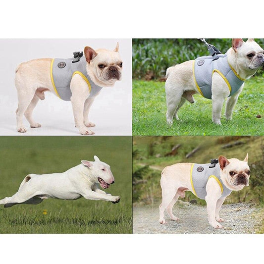 Dog Harness and Leash Set for Chihuahua Pug Small Medium Puppy Cat